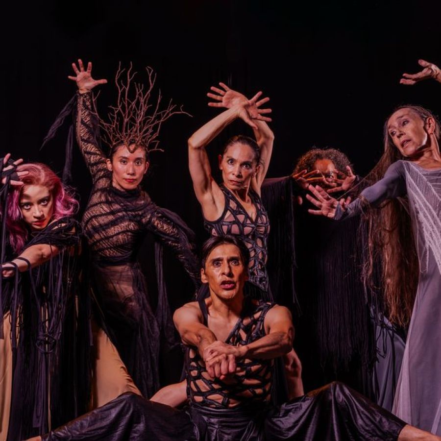 Illustration for Actors, Dancers and Other Entertainers occupation by Shada Migration Services.